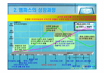[전략경영] 엠파스(empas) 경영전략과 생존전략-4