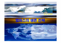 [전략경영론] 엠파스(empas)의 생존전략-1