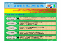 [전략경영론] 엠파스(empas)의 생존전략-14