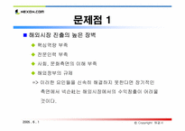 [인터넷비즈니스] nexon 넥슨 성공사례분석-14