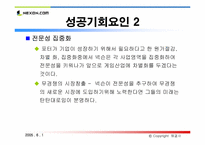 [인터넷비즈니스] nexon 넥슨 성공사례분석-18
