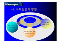 [국제경영] 매릴린치-4