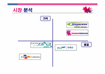 [마케팅] Hanaro Telecom(하나로텔레콤) 마케팅전략-10