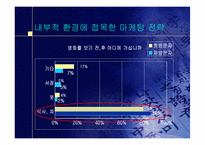 [마케팅] 대한극장 마케팅전략수립-20