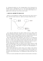 [국제경영] 국제경쟁전략-8
