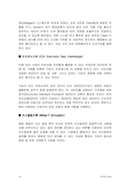 전사적자원관리(ERP)-18