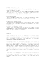 애드호크러시와 매트릭스조직-3