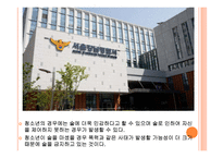 정부의 음주운전피해 방지를 위한 노력과 영향-8