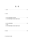 통일부 정치적 관점(2018 남북정상회담) 보고서-2