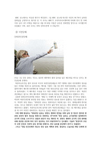 통일부 정치적 관점(2018 남북정상회담) 보고서-8