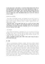 통일부 정치적 관점(2018 남북정상회담) 보고서-9