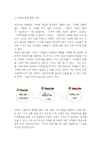 티몬 마케팅연구- 티몬 티켓몬스터 기업분석과 소셜커머스분석및 마케팅 4P,STP,SWOT분석및 향후전략 아이디어제시-19