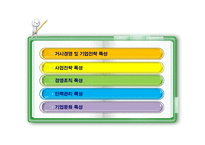 한국기업의 구조 및 경영 특성-2