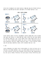 파블로프(Pavlov)의 고전적 조건형성(고전적 조건화)-3