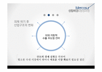 메르코수르(남미공동시장) 이해-9