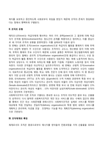 조직의 개념과 유형, 조직체계의 특징-3