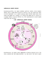 브론펜브레너의 생태학적 체계이론-2