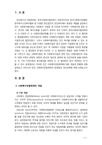[사회복지행정] 한국의 민간 사회복지 전달체계의 문제점과 개선과제에 대해 서술해 보시오-2