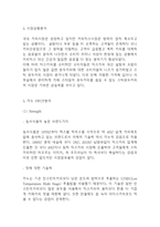카누 KANU SWOT분석및 마케팅전략분석과 카누 KANU 광고전략 기획과 향후전략방향제시-4