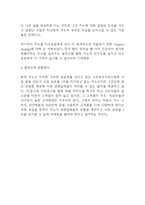 카누 KANU SWOT분석및 마케팅전략분석과 카누 KANU 광고전략 기획과 향후전략방향제시-11