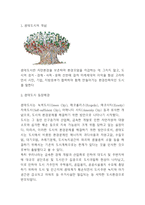 생태도시 개념,등장배경과 생태도시 국내,해외 조성사례분석및 나의의견정리 - 생태도시 연구레포트-3