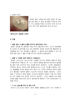 일반화학실험1 - 재결정과 거르기-5