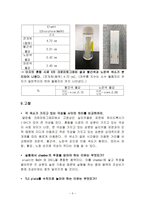 일반화학실험1 - 크로마토그래피를 이용한 물감의 색소 분리-5