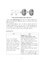 일반화학실험2 비누-지방산의 염-3
