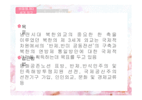 북한의 대외관계-제3세계와의 관계-3