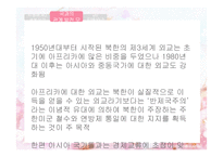 북한의 대외관계-제3세계와의 관계-16