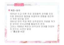 북한의 대외관계-제3세계와의 관계-20