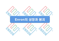Enron 으로 본 회계부정-3