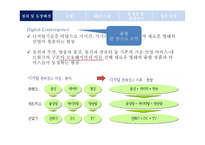 디지털 컨버전스 사례와 문제점 및 전망-3