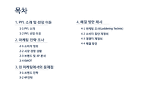 현대자동차 PYL의 문제점과 해결방안-2