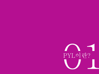현대자동차 PYL 실패사례 분석-3
