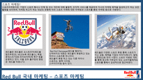 RED BULL 국내 마케팅과 향후 전략-5