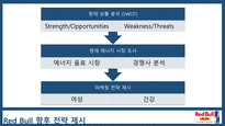 RED BULL 국내 마케팅과 향후 전략-10