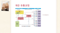 국내 달걀 유통현황 및 문제점과 해결방안-9