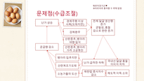 국내 달걀 유통현황 및 문제점과 해결방안-13