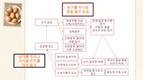 국내 달걀 유통현황 및 문제점과 해결방안-14