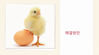 국내 달걀 유통현황 및 문제점과 해결방안-18