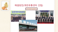 국내 달걀 유통현황 및 문제점과 해결방안-19