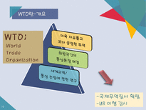 WTO World Trade Organization-10
