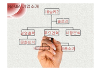 네슬레의 국제 시장 마케팅 전략-3