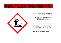 마블링이 건강에 끼치는 영향-8
