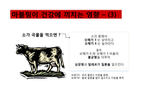 마블링이 건강에 끼치는 영향-9