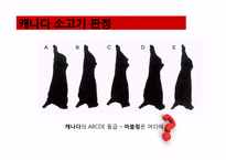 마블링이 건강에 끼치는 영향-12