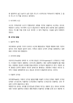 학령전기 아동의 인지발달(직관적 사고발달, 인지적 특성, 도덕성 발달)-3