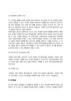[아동기 인지발달] 아동기 인지발달의 특징과 언어발달-3