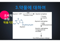 재발성 단순포진 환자 약물처방 사례분석-7